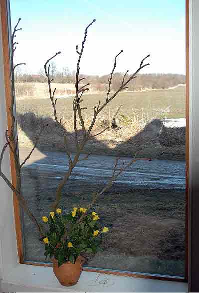 Maglehem Easter 2005