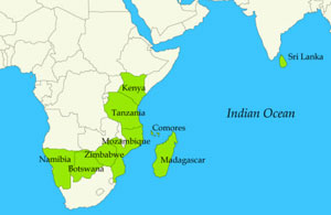 Indian Ocean